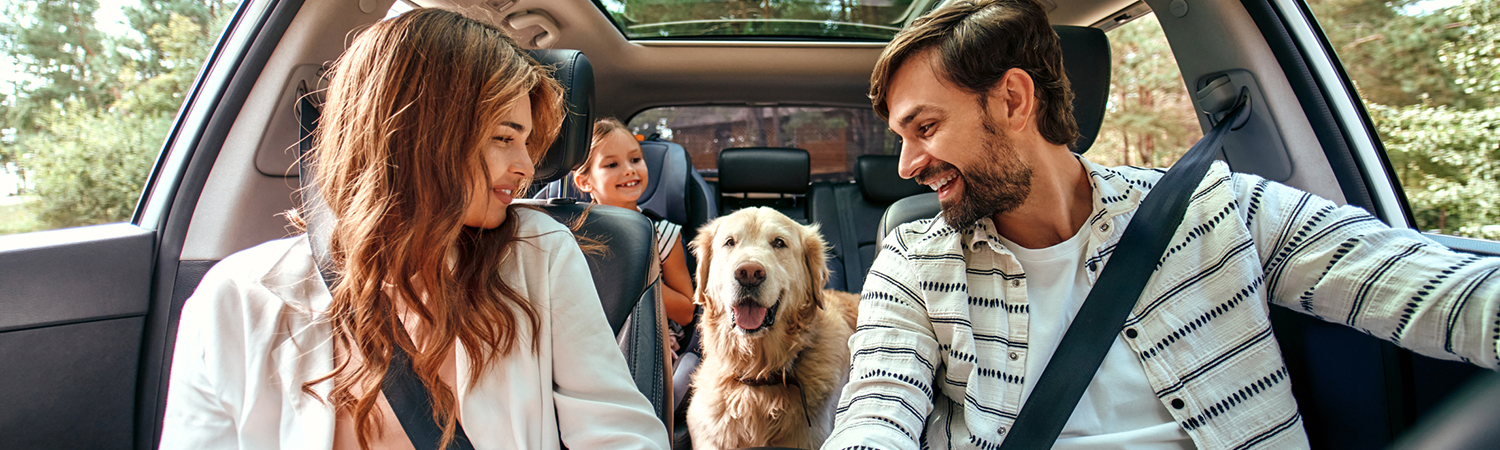Illinois Home and Auto Protection Plans Coverage
